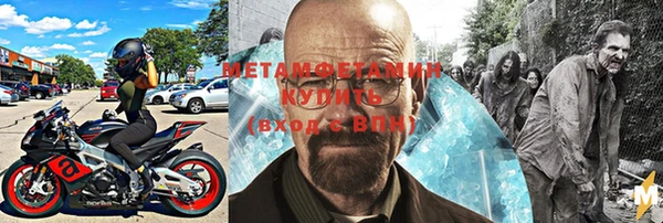 гидра Аркадак